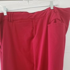 Nicely made brick red pants.